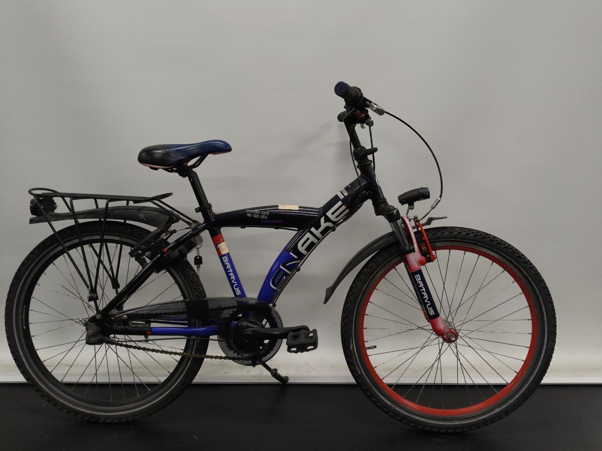 Batavus