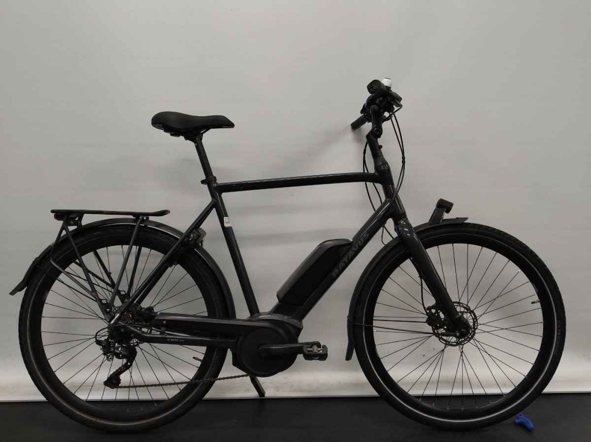 Batavus