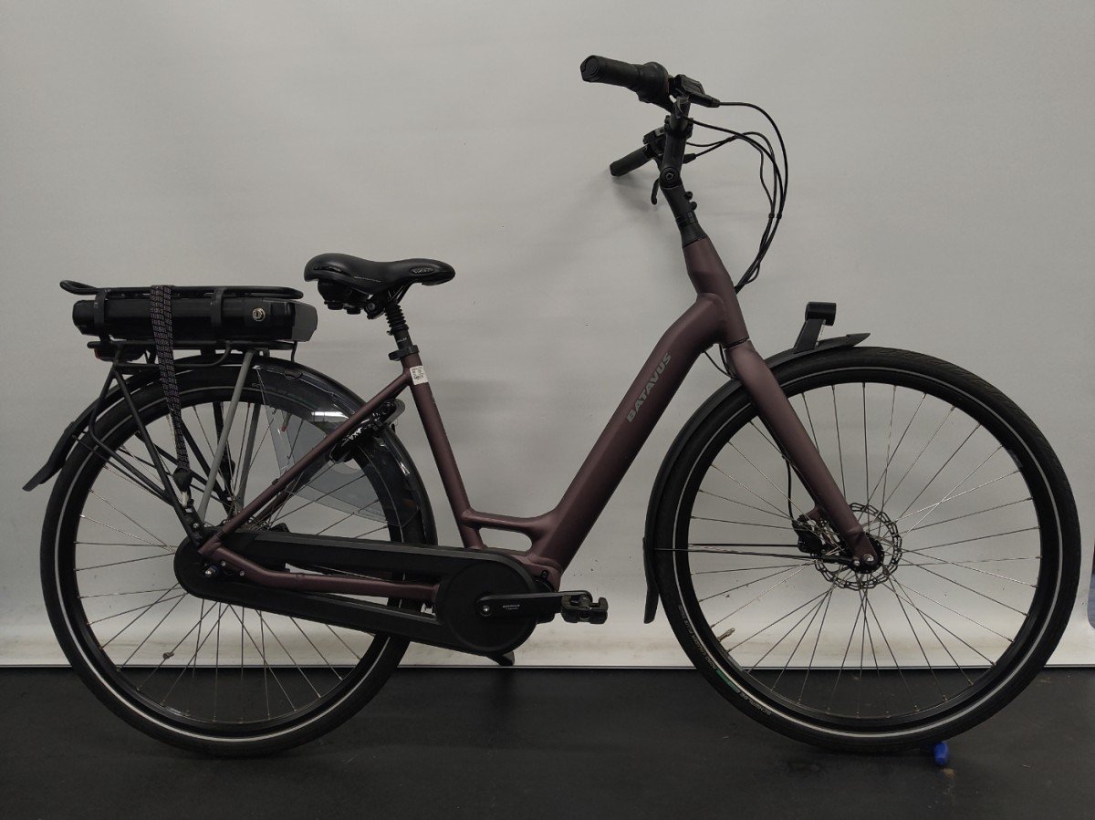 Batavus