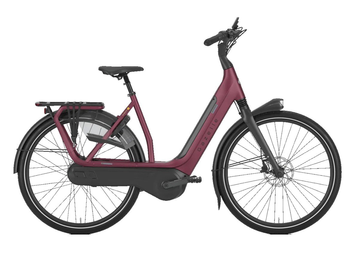 GAZELLE Avignon C8
