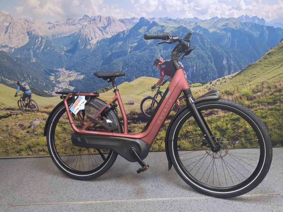 GAZELLE Avignon C8