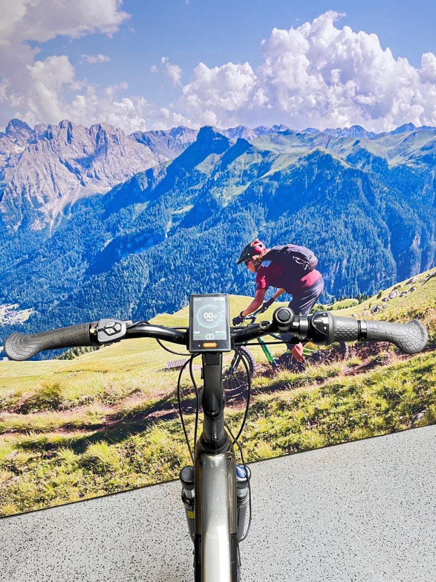 Trenergy Performance Belt 