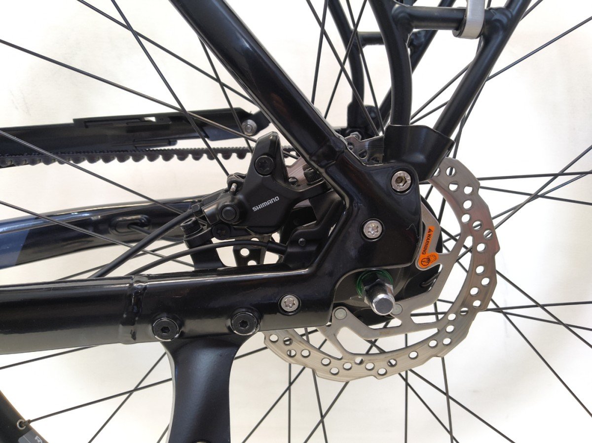 Advanced Ebike Das Original ebike