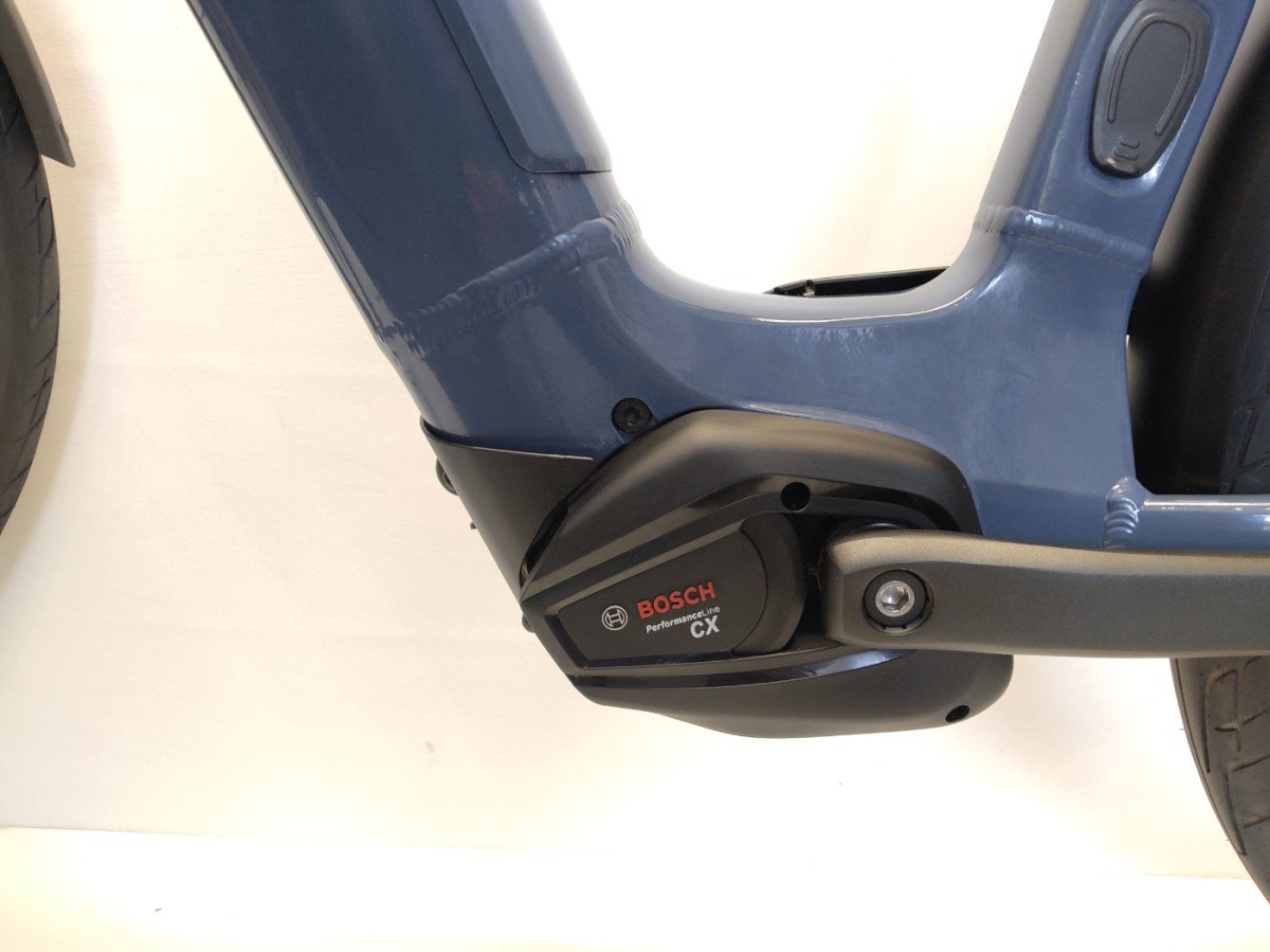 Advanced Ebike Das Original ebike