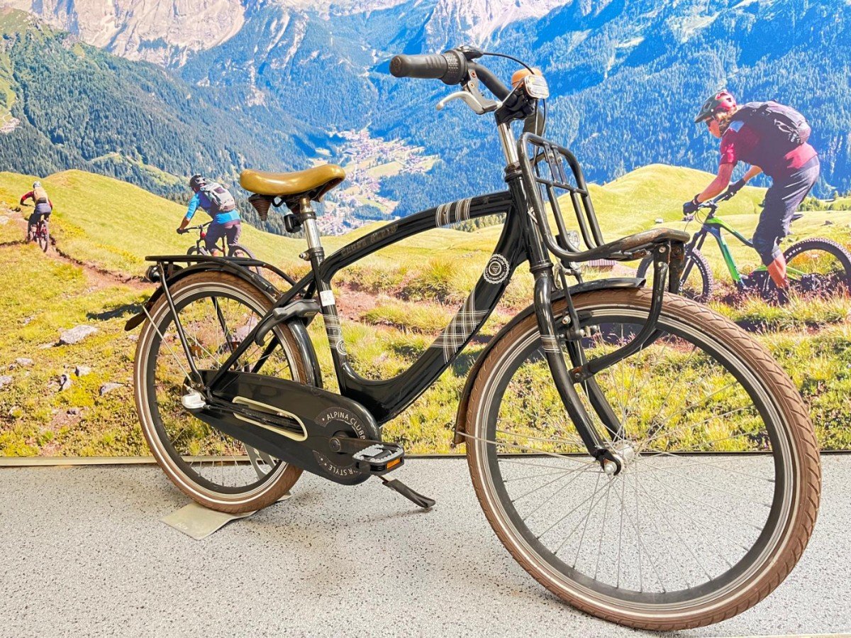 Alpina Cruiser 26 inch. 