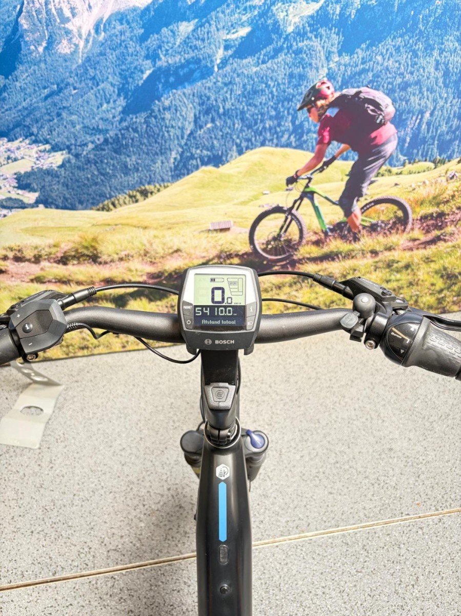 Victoria Ebike