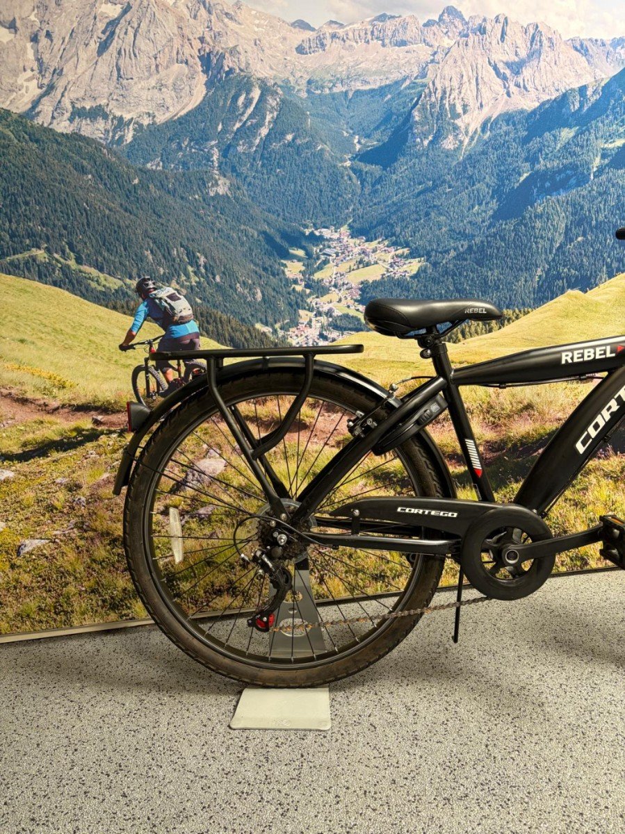 Azor Cortego Rebel 26 inch. 