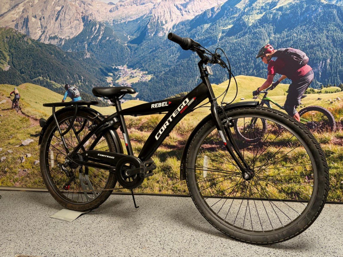 Azor Cortego Rebel 26 inch. 