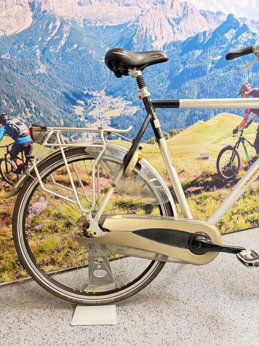 Gazelle Chamonix Plus H65