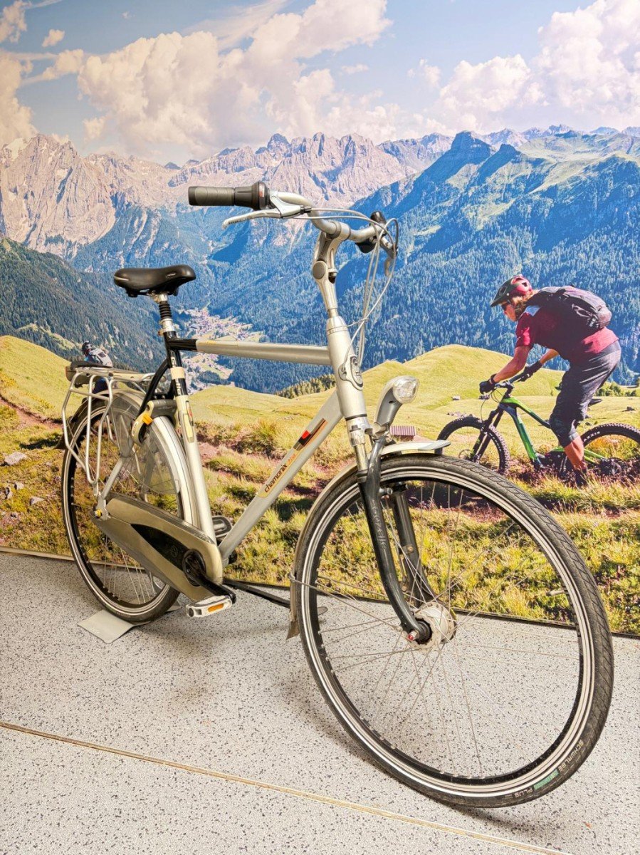 Gazelle Chamonix Plus H65