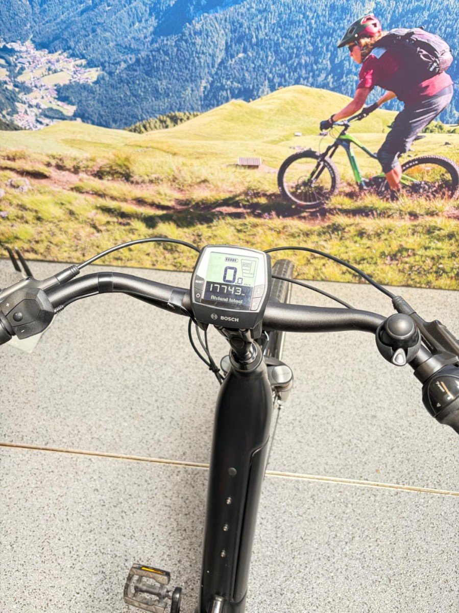 Trek District+ 6 Lowstep L Matte Trek Black 400WH