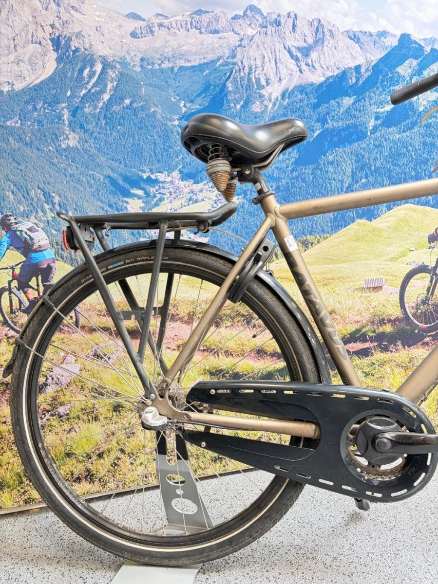 Batavus .