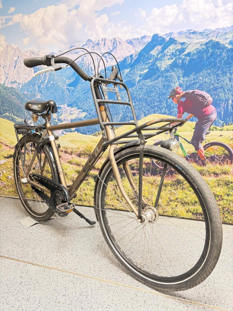 Batavus .