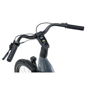 Q Bike D48 4