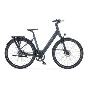 Q Bike D48 2