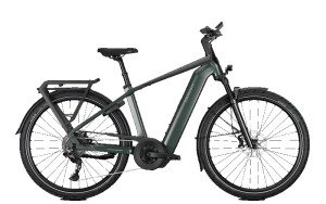 ENDEAVOUR 22 L techgreen glossy Kalkhoff