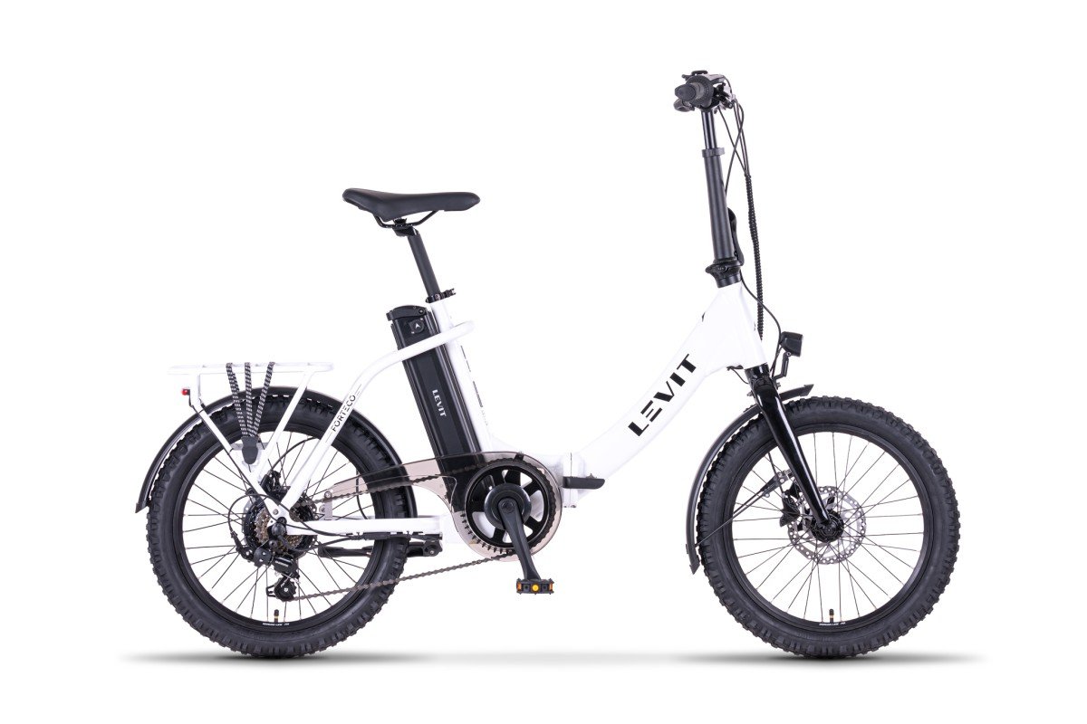 LEVIT FORTECO 3 lily Lily 2026