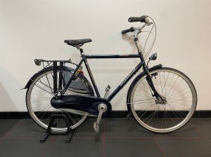 Gazelle Avignon