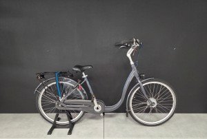 Batavus Entree