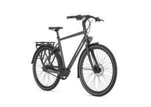 Afbeelding: GAZELLE Chamonix S11 product: 419