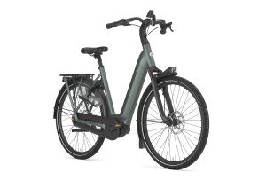 Afbeelding: GAZELLE Grenoble C8+ product: 656