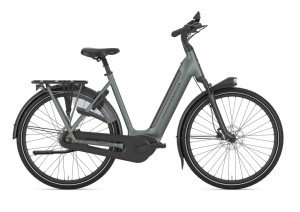 Afbeelding: GAZELLE Grenoble C8+ product: 743