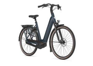 Afbeelding: GAZELLE Grenoble C8 product: 486