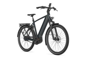 Afbeelding: GAZELLE Ultimate C380 product: 214