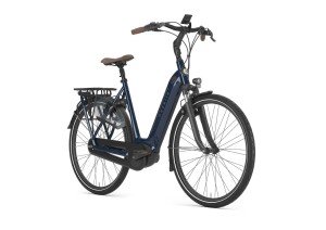 Afbeelding: GAZELLE Grenoble C7+ LTD product: 789
