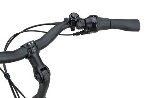 Afbeelding: BATAVUS Altura PT Pro 2026 product: 671