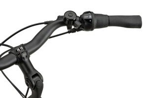 Afbeelding: BATAVUS Altura CP 2026 product: 447