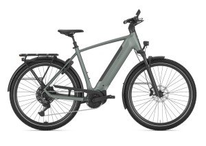 Afbeelding: GAZELLE Ultimate T11 product: 701