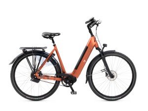 Afbeelding: RIH Delta product: 433