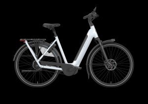 Afbeelding: GAZELLE Grenoble C5+ product: 313