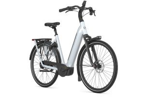 Afbeelding: GAZELLE Grenoble C5+ product: 313