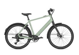 Afbeelding: GAZELLE Curb T9 product: 359