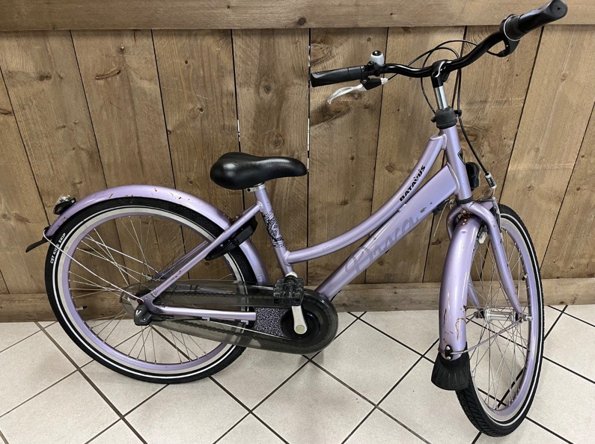 Een afbeelding van Batavus Diva