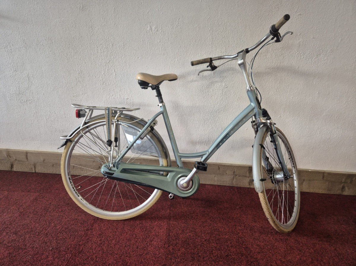 Een afbeelding van Batavus Monaco