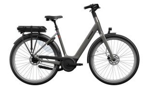 Een afbeelding van BATAVUS Finez Holiday