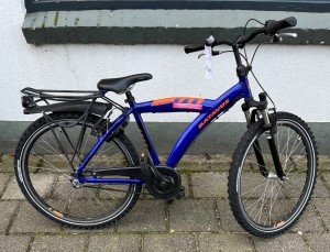 Een afbeelding van Batavus SNAKE