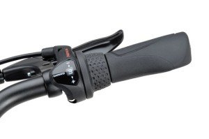 Een afbeelding van BATAVUS Fonk-3