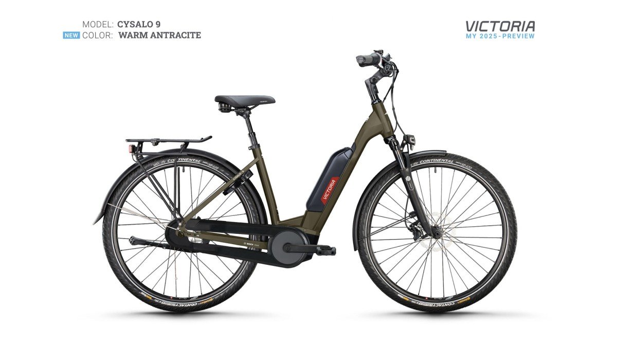 VICTORIA CYSALO 9 48.00 cm