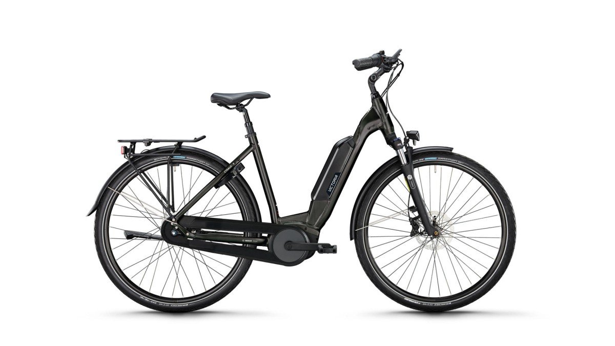 VICTORIA Cysalo 3 48.00 cm