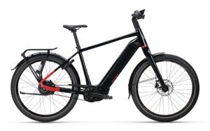 Koga Pace B10