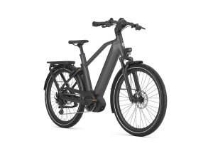 Gazelle Eclipse T11