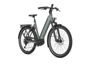 Gazelle Ultimate T11
