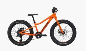 Cannondale Kids Trail Plus 20