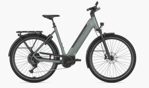 Gazelle Ultimate T11