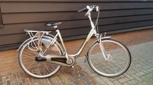 Gazelle orange 0000