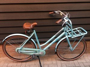 Gazelle Miss grace 0000